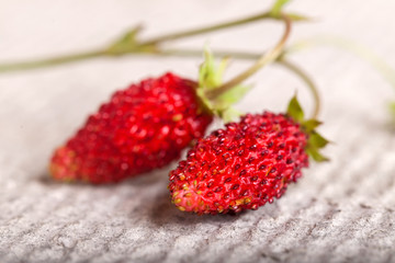 Two ripe berries of a wild strawberry close up