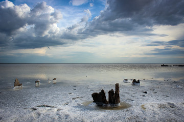 Salt lake Elton (соленое озеро Эльтон), Russia