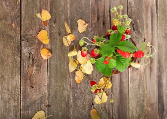 Autumn leaves and berries of a wild strawberry on an old table,