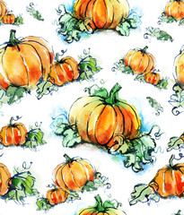 Hand drawn seamless pattern with pumpkins on the white background. Watercolor sketch