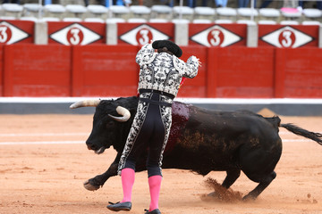 Banderillero y toro en la plaza