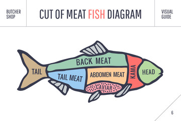 Cut of meat set. Poster Butcher diagram and scheme - Fish. Colorful vintage typographic hand-drawn visual guide for butcher shop. illustration