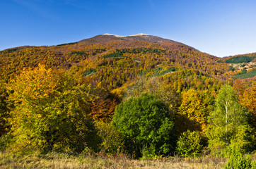 Fototapeta na wymiar Autumn forest colors at rolling hills of Zeljin mountain, Serbia