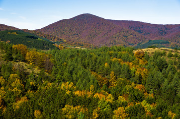 Fototapeta na wymiar Autumn forest and meadows colors at rolling hills of Zeljin mountain, Serbia