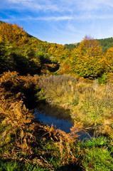 Fototapeta na wymiar Small pond at colorful autumn scene with forest at rolling hills of Zeljin mountain, Serbia