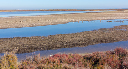 Flooded area at low tide in Murcia, Spain