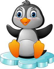 Cartoon funny penguin sitting on ice 
