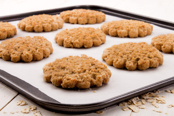 freshly baked scottish oatmeal biscuit on white kitchen paper