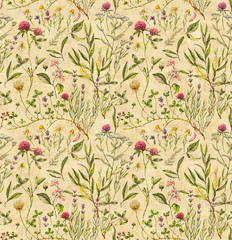 Vintage watercolor seamless botanical pattern with different plants. Repeated natural background on the old paper with meadow and medical plants: chamomile, trefoil, lavender, tea tree and other. - 121202775