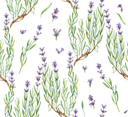 Fototapeta na wymiar Hand-drawn watercolor lavender pattern. Seamless background with flowers, branches and leaves. Repeated Provence print with tender lavender blossom on the white background.