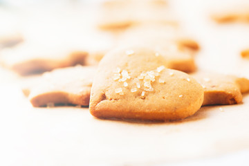 Homemade Christmas gingerbread cookies with festive decoration on white wooden background, close up view. Holiday concept, toned