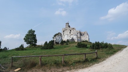 SAMSUNG CAMERA PICTURES