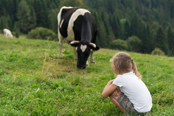 Children looking at the cow in the meadow in the summer 