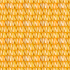 Realistic  seamless texture corn, vector illustration.