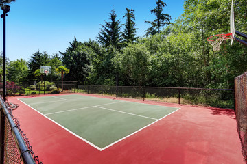 Private basketball court of Suburban luxury house © Iriana Shiyan