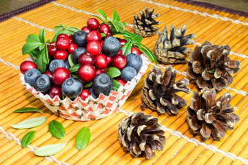 macro image of fresh cowberry in the cup
