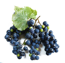 juicy grapes or a frame with grape on the white