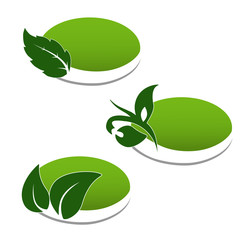 Vector natural symbols, nature bio icon with leaf and plant, oval sticker for eco product