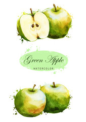 Hand-drawn watercolor illustration of the green apples fruits. Food drawing isolated on the white background.