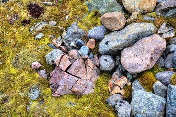 Stones and moss in South Iceland