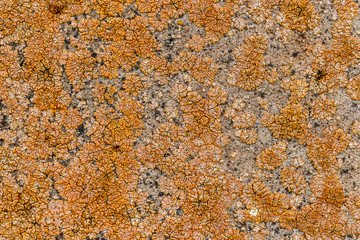 Ancient stone surface
