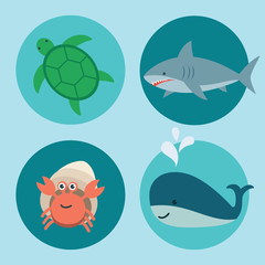 Cute ocean animals icons on Blue Sea background. Aquatic and Marine life vector illustration of Sea Turtle, Hermit Crab, Whale, Shark in flat design.