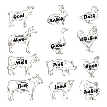 farm animals vector collection. Butchery logo and label with text