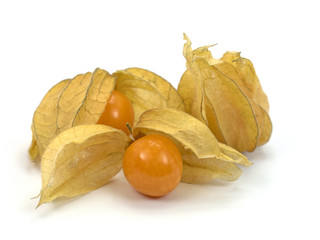 Physalis, Blasenkirschen, Physalis peruviana