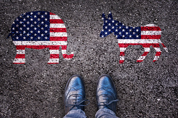 Legs on asphalt road, choice between with elephant and donkey, 2024 presidential american election,...