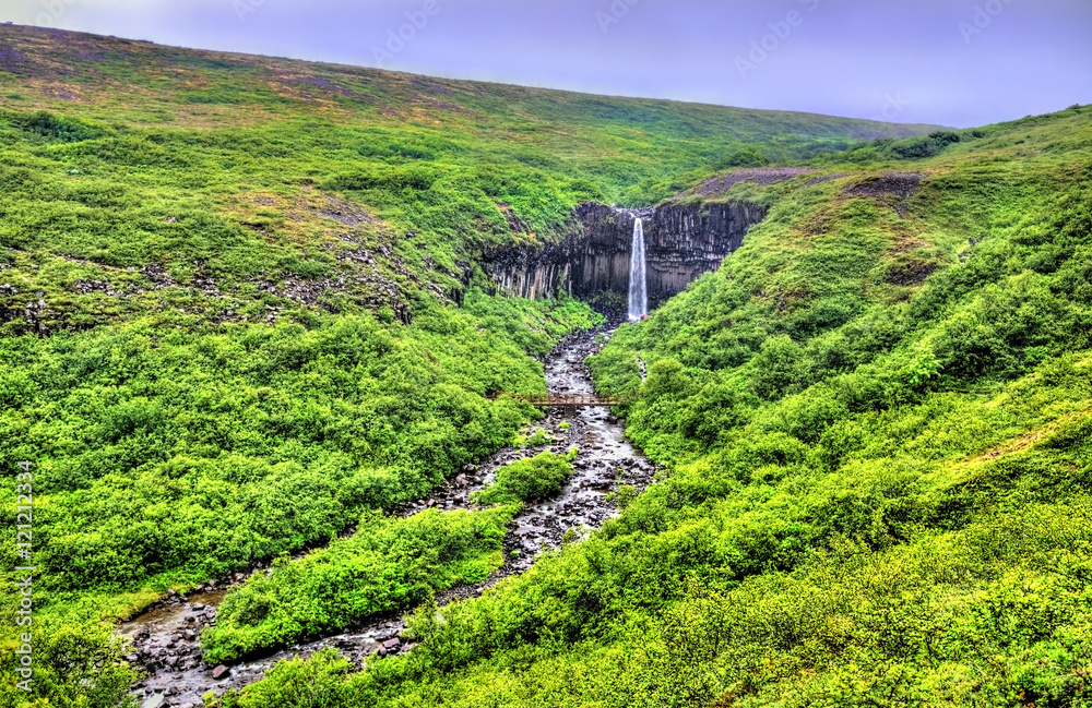 Wall mural view of svartifoss meaning black falls, iceland