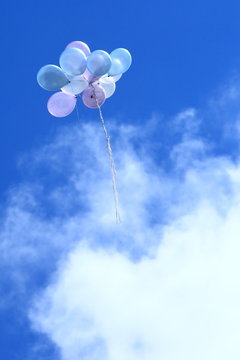 balloons/ bunch of balloons flying in the blue sky