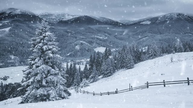 Christmas background with snowy fir trees and falling snow. UHD, 4K
