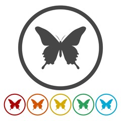 Butterfly icon
