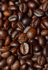 Fresh roasted coffee beans background, texture. Arabica bean wallpaper, close-up.