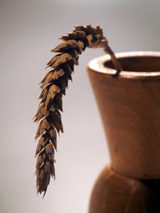 wheat ears in a vase