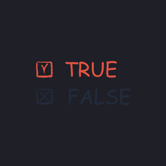 True and False computer symbol