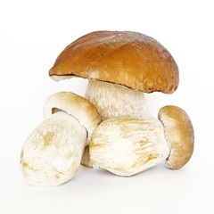 White mushrooms (lat. Boletus edulis) isolated on white background
