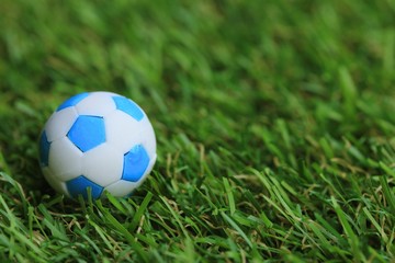 Obraz premium Soccer ball on field