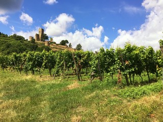 Fototapeta na wymiar Burg im Weinbaugebiet