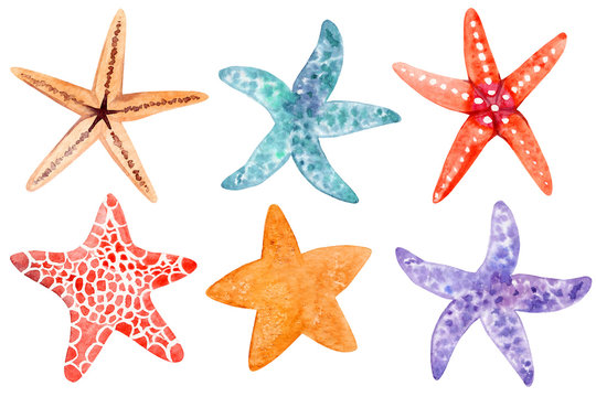 Set of watecolor starfish clipart
