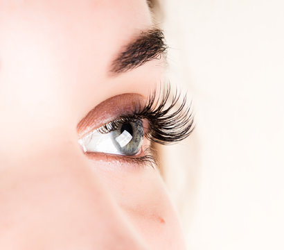 Beautiful Young Girl Eyelash Extension. Woman Eye With Long Eyelashes. Beauty Salon Concept