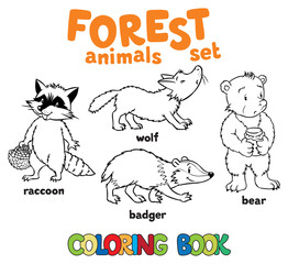 Forest animals coloring book