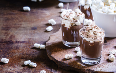 Liquid chocolate with marshmallow sprinkled with cocoa powder, v