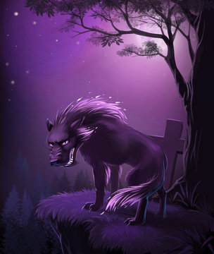 wolf
