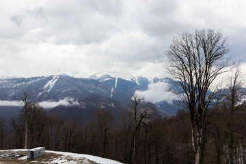 Mountain landscape. Krasnaya Polyana, Sochi, Russia