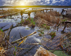 Old wooden pier with dry reed on sunset