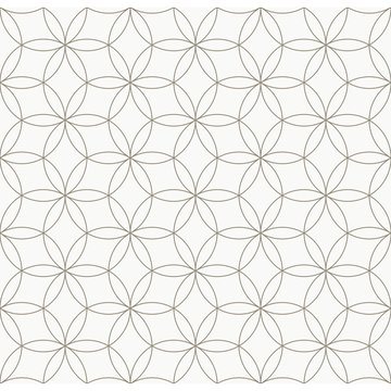 Seamless geometric pattern, Circle pattern line,  Monochrome elements vector