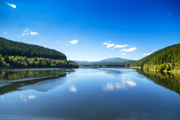 Beautiful landscape with mountain lake and green forest