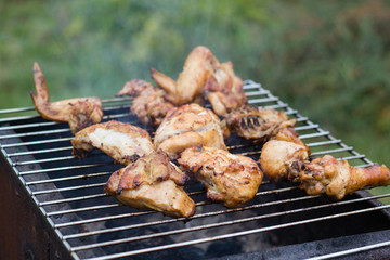 BBQ meat on grill in garden