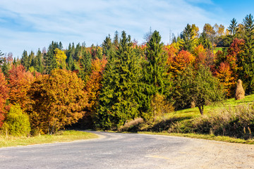 Obraz premium mountain road near forest under cloudy sky